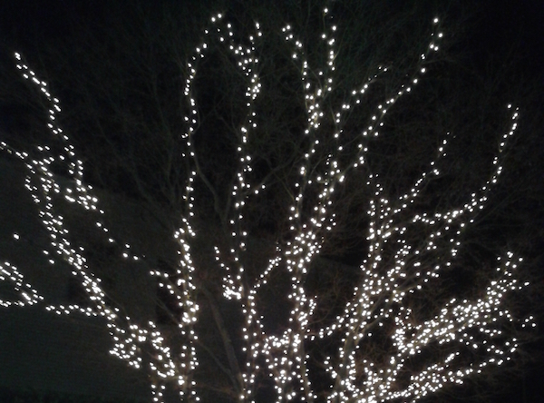 Luminarie (1)
